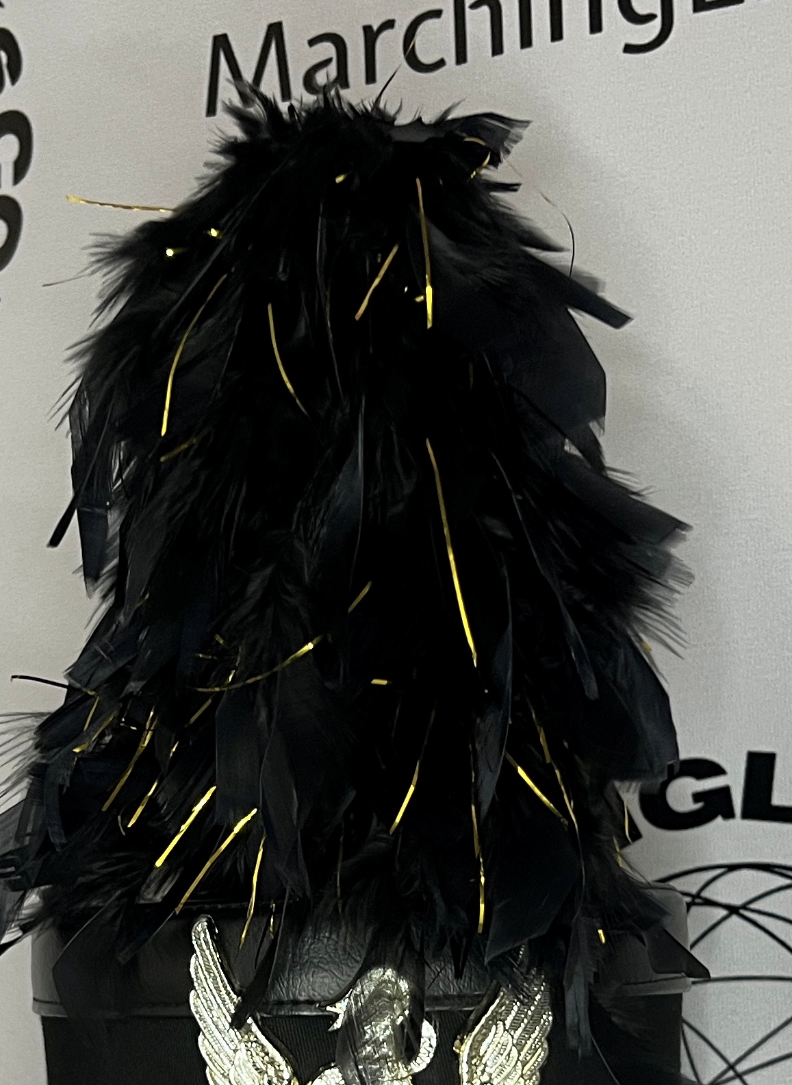 Lot of 26, 9" Black and Gold Plumes