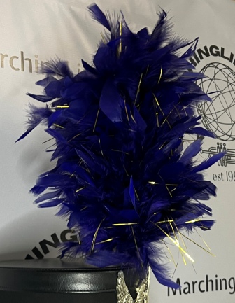 Lot of 19, 12" Purple Plumes