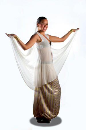Color Guard Harem Costume