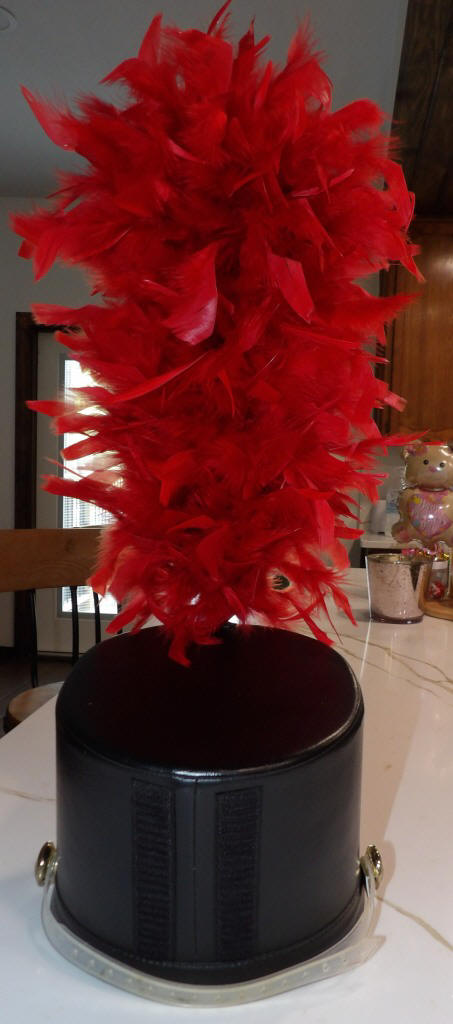 Set of 100+ 18" Red Plumes